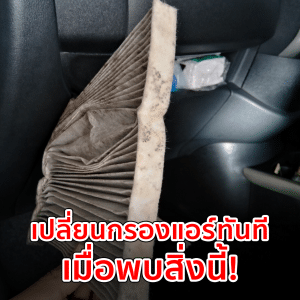 เชื้อราในกรองแอร์