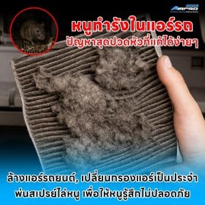 "วิธีแก้ปัญหาหนูทำรังในรถยนต์ด้วยการล้างแอร์ เปลี่ยนกรองแอร์ และพ่นสเปรย์ไล่หนู"