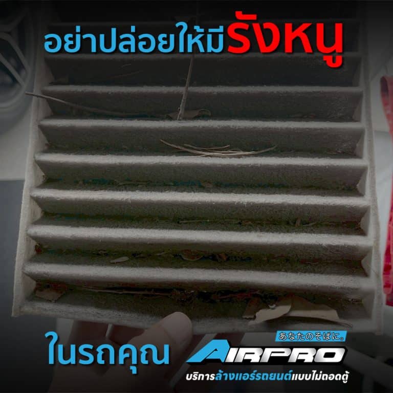 อย่าปล่อยให้มีรังหนูในรถ