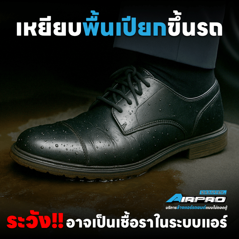 การเหยียบพื้นเปียกขึ้นรถอาจทำให้เกิดเชื้อราและกลิ่นอับในระบบแอร์รถยนต์